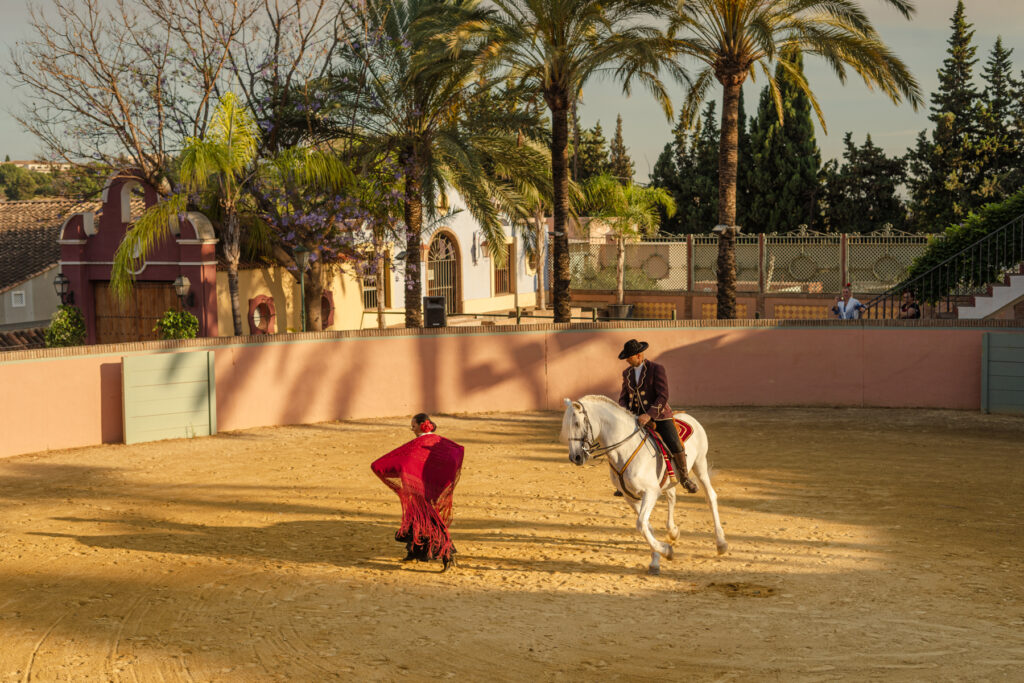 espectáculo de caballos
