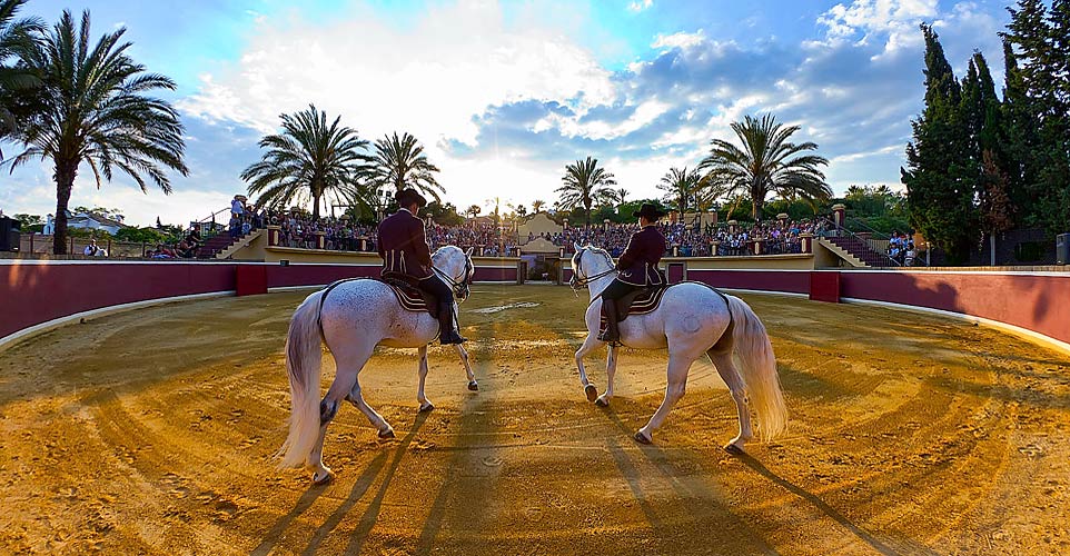 espectáculo de caballos