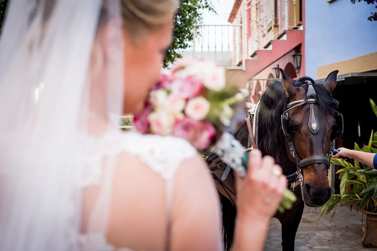 boda-en-el-paraiso-copia